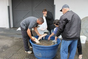 feirapeixe-portouniao-pascoa