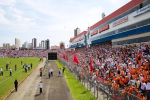 greve-professores