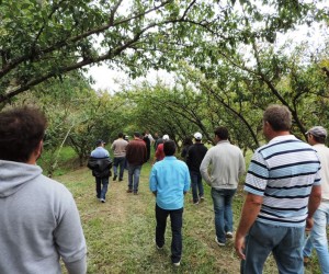 diadecampo-mallet-agricultores