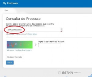 protocoloonline-saomateusdosul-consulta
