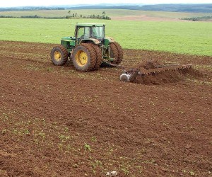 Vazio Sanitário - O programa Vazio Sanitário visa eliminar o plantio de soja entre 15 de julho a 15 de setembro para a eliminação da Ferrugem Asiática. Foto Arnaldo Alves/Arq.ANPr