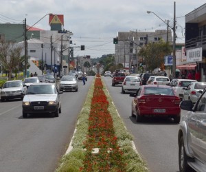 sao-mateus-do-sul