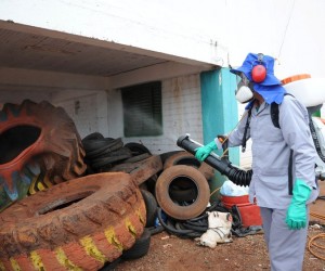 Dengue-Marechal Cândido Rondon