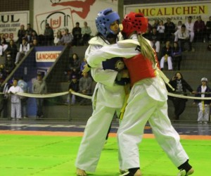 taekwondo-sulbrasileiro-portouniaoXX30X