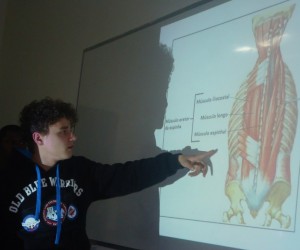 uniguacu-sistemamsucular-educacao