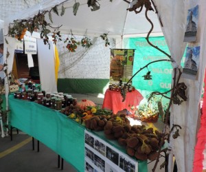 mallet-mostra-cultura