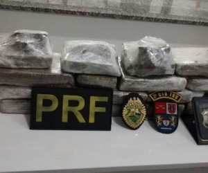 drogas-apreendido-drogas