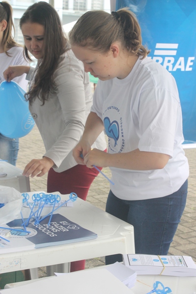 balXXes-sebrae-bomnegocio
