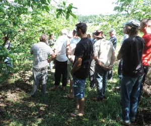 diadecampo-mallet-agricultura