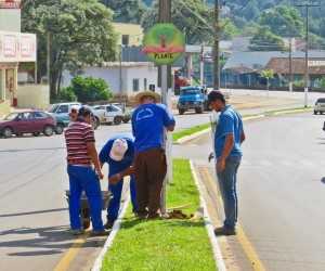 PLACASXMEIO