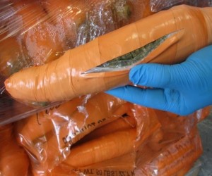 14jan2016---policiais-de-pharr-no-texas-encontraram-113-kg-de-maconha-escondidas-dentro-de-cenouras-falsas-1452773917408_615x470