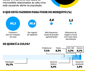 GrXXficoXMosquito
