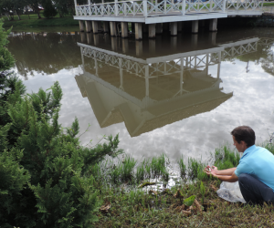 alevinos-mallet-agricultores
