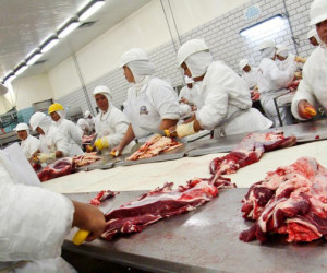 Frigoríco de carne bovina. Foto: Sistema FAEP