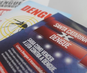 dengue-portouniao-controle