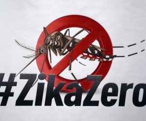 zika-virus-diad