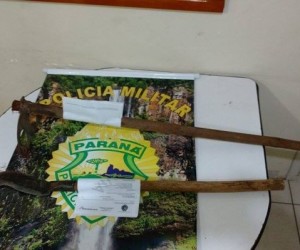 briga-foice-irmaos