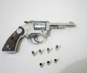 revolver-saomateusdosul-arma