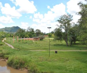 PARQUEX01