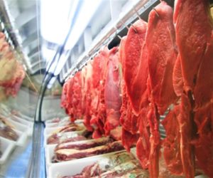 carnes-brasileiras