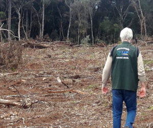 O Instituto Ambiental do Paraná (IAP), divulgou nessa terça-feira (16) o relatório com o balanço das fiscalizações feitas em 2016 (entre janeiro e dezembro) para coibir o desmatamento ilegal em todo o Estado.  Curitiba, 16/05/2017. Foto: Divulgação IAP