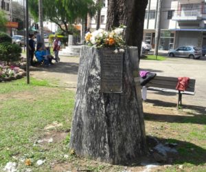 (Foto: Enviada para o WhatsApp do Portal Vvale).