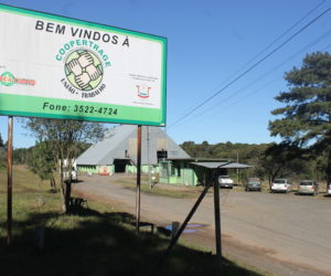 (Foto: Mariana Honesko).