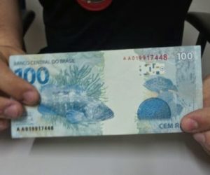 NotaXfalsa