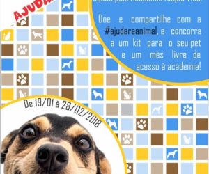 cãopanha