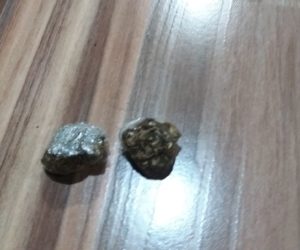 canoinhas-pmambiental-entorpecentes