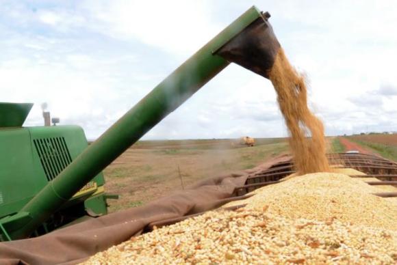  Segundo a Conab, a estimativa é colher 245,8 milhões de toneladas de grãos na safra 2019/2020 (Foto: Reprodução).
