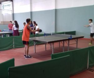 20180823-tenisdemesa-portouniao-jocopus (13)