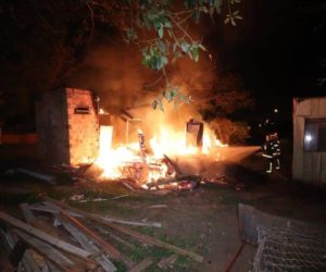 caes-morte-incendio