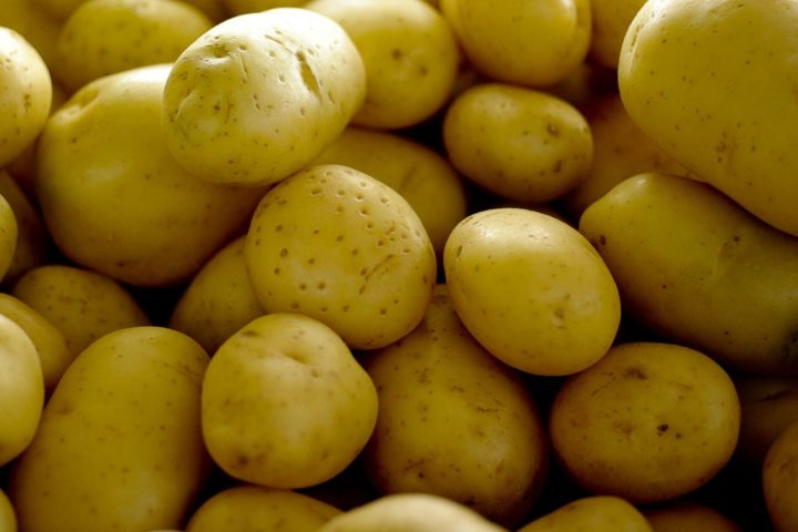 agenciabrasil_batata