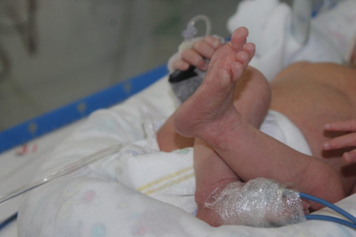 (Foto: Mariana Honesko).