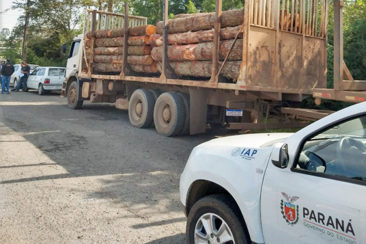Fiscais do Instituto Ambiental do Paraná (IAP), regional de União da Vitória, identificaram nessa quinta-feira (13), no município de Paulo Frontin, uma área de corte de vegetação nativa ilegal, equivalente a 1,43 hectares de desmate. (Foto: Divulgaação/IAP).