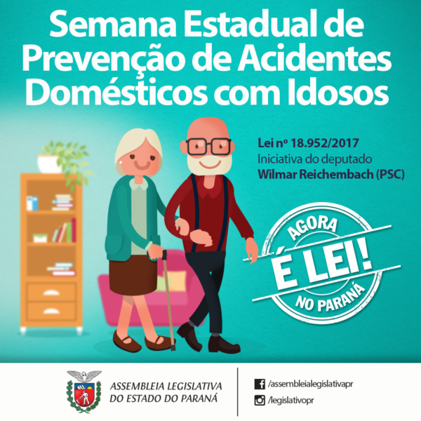Cuidados básicos podem evitar acidentes domésticos com idosos (Foto: Arte: Vinícius Leme/Alep).
