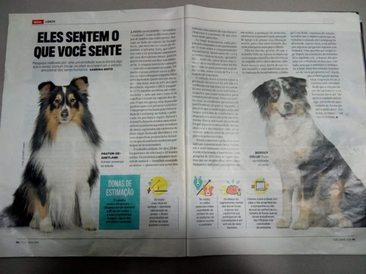 Revista Veja, na edição do dia 19 de junho, mostrou os detalhes dos sentimentos dos bichinhos