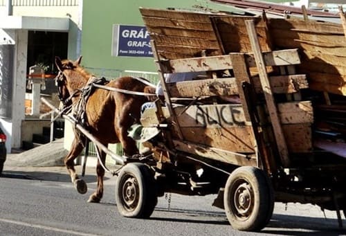  Fica proibido nos limites da área urbana de Canoinhas, a utilização de veículo de tração animal (Foto: Canoinhas Online/Arquivo).