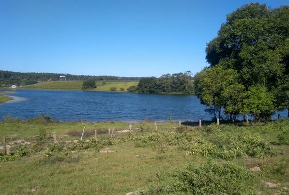 morte de irmãos em lagoa