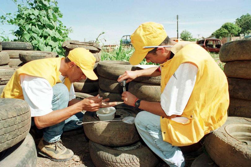 Foto: Valdecir Galor/SMCS