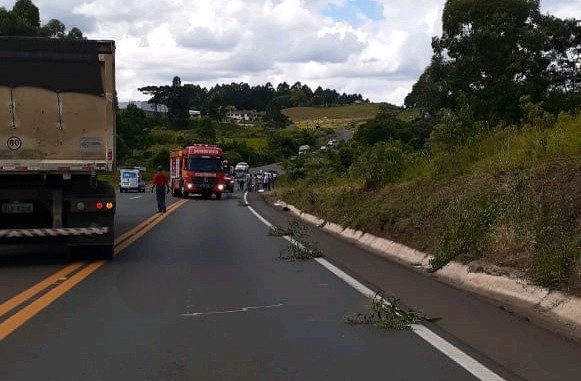 (Foto: Diário do Rio do Peixe).