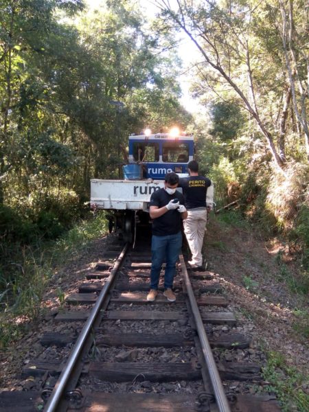 (Foto: Reprodução).