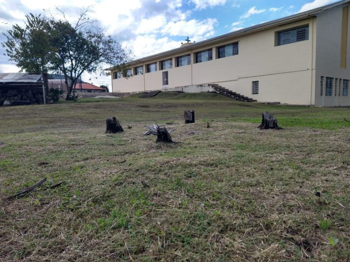 (Foto: Mariana Honesko).