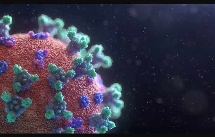 Imagem: Fusion Medical Animation/Unsplash