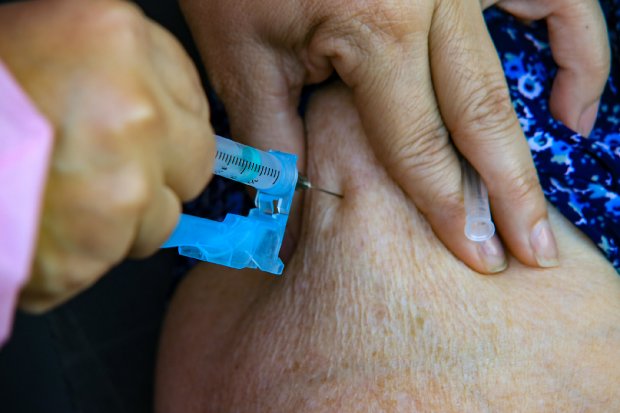17 5 mil doses da vacina Pfizer chegam a Santa Catarina na proxima semana