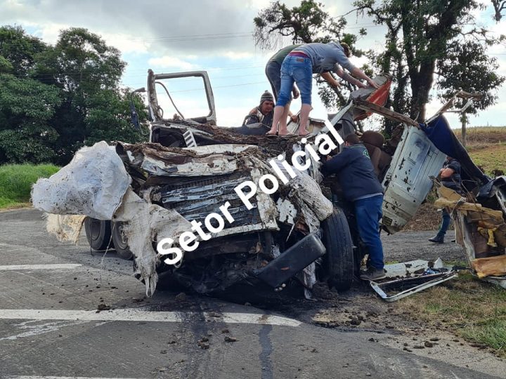 (Foto: Setor Policial Ponta Grossa).