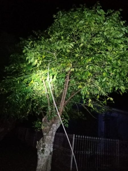 (Foto: Reprodução).