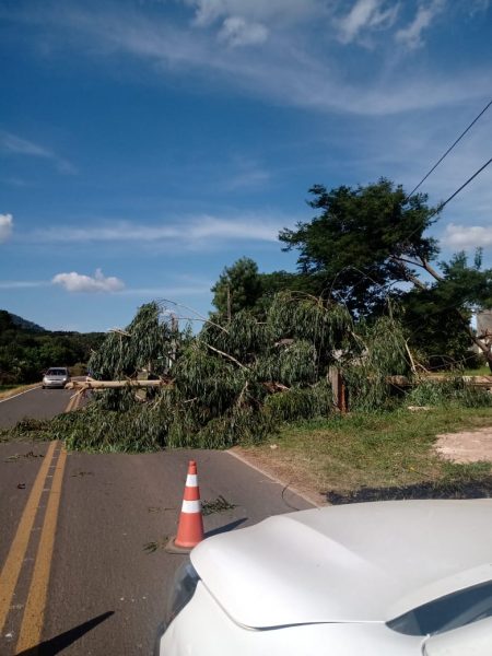 (Foto: Enviada para o portal Vvale).