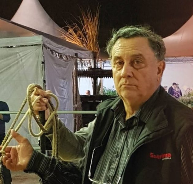 Foto: Associação Brasileira de Criadores de Devon/ Divulgação